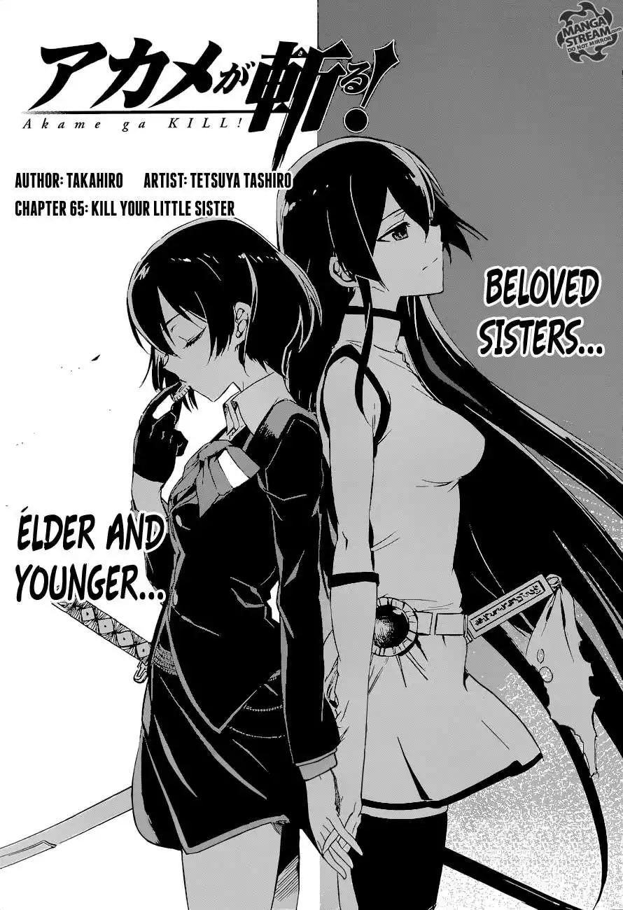 Akame ga Kill! Chapter 65 6